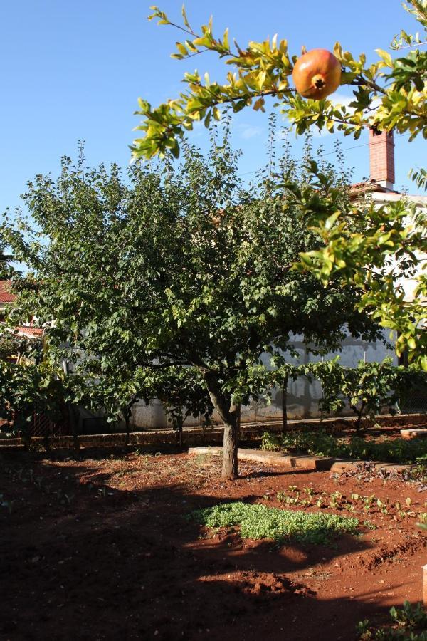 Apartments With A Parking Space Umag - 7057 Exterior foto